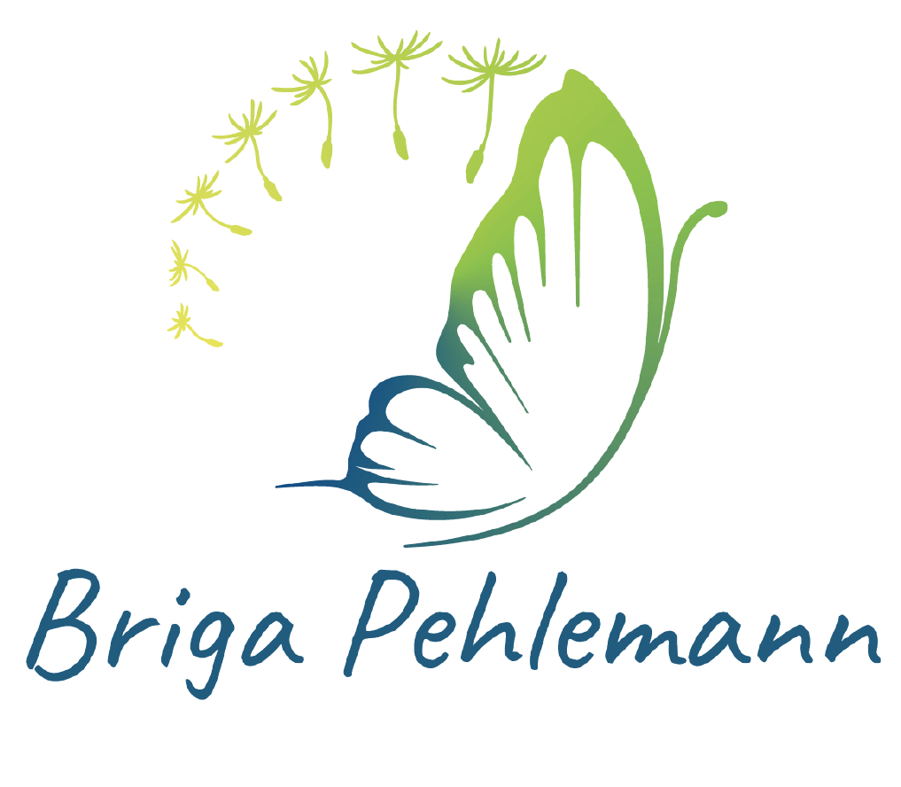 briga-pehlemann.de